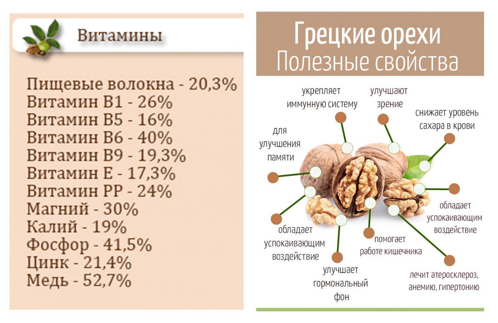 Грецкий орех: польза и вред для организма. состав, народные рецепты