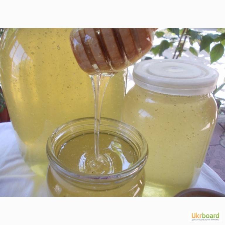 Майский мед — полезные свойства и противопоказания