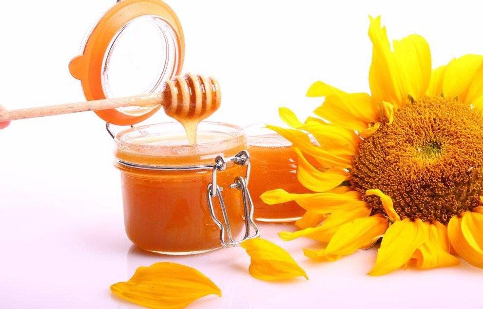 Натуральный лечебный продукт из меда подсолнечника, полезные свойства и противопоказания нектара