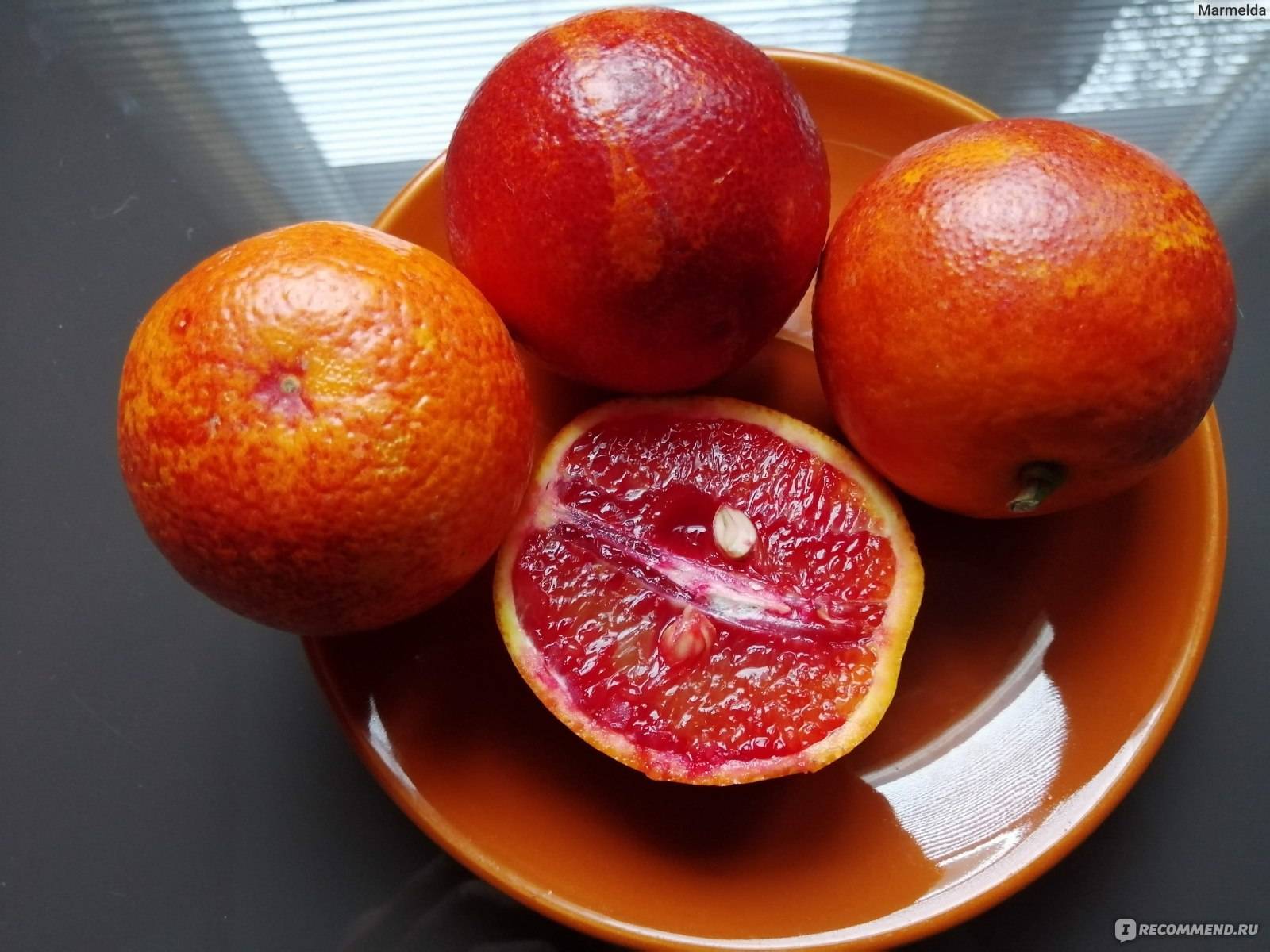Апельсин польза и вред для здоровья человека