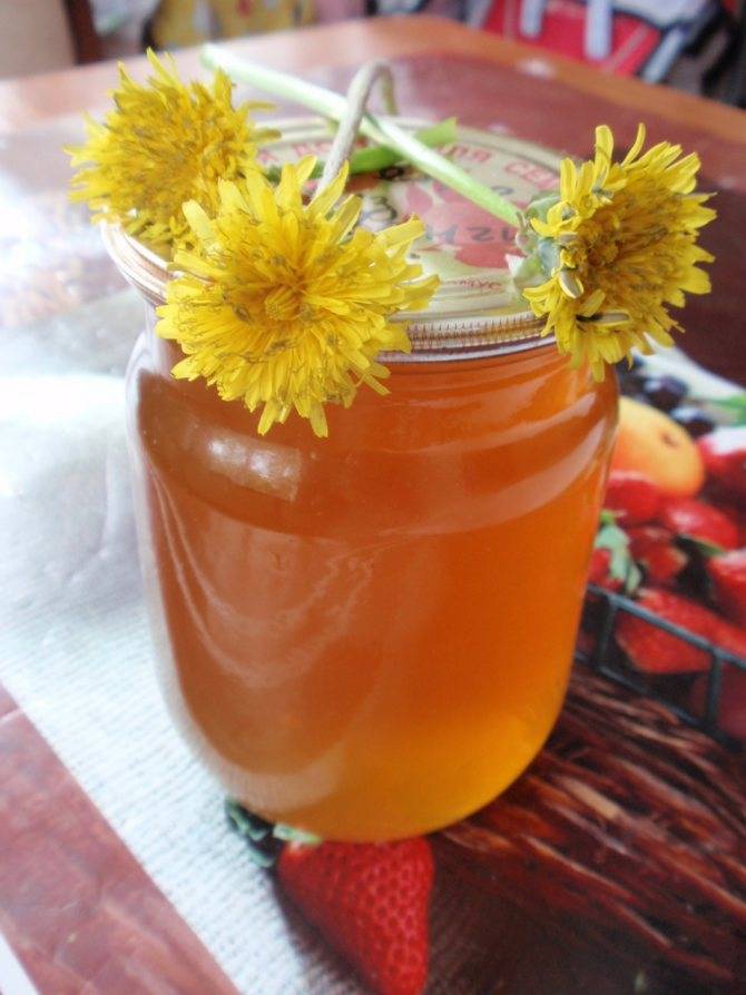 Одуванчиковый мед лечебные свойства