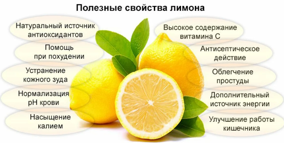 Лимон – чем полезен и чем вреден этот витаминный цитрус?