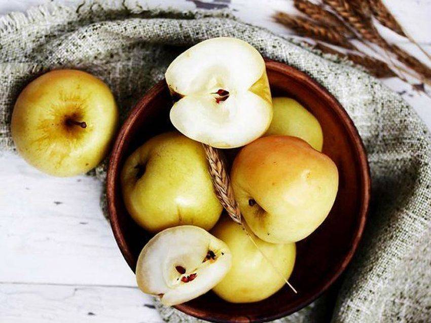 Моченые яблоки польза и вред для здоровья