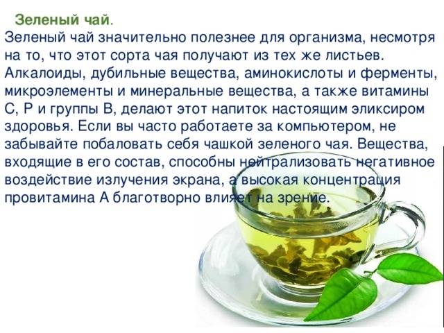 Польза и вред зелёного чая для организма