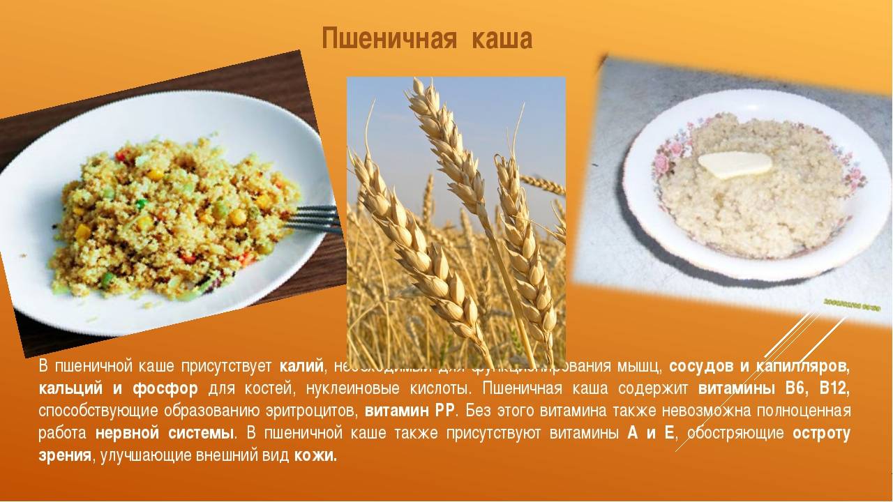 Пшеничная каша: польза и вред для организма человека