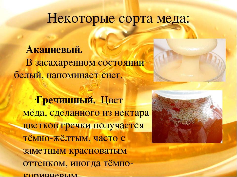 Польза и вред гречишного меда для организма человека