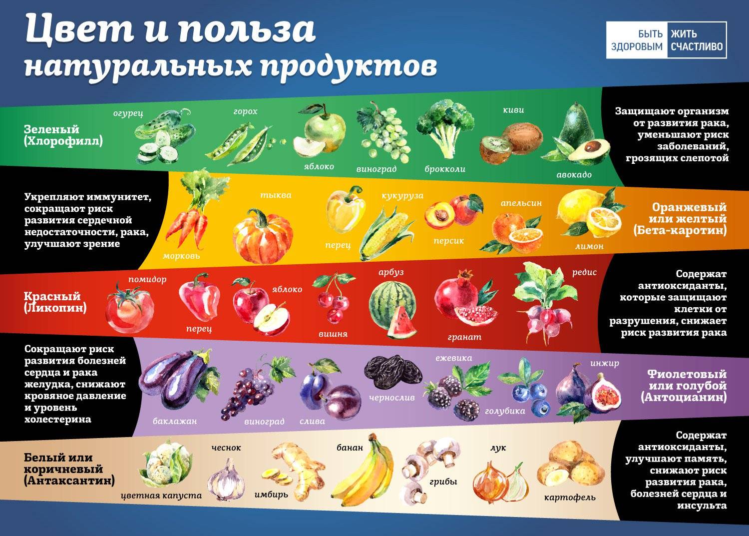 Какие фрукты повышают иммунитет человека — топовый рейтинг