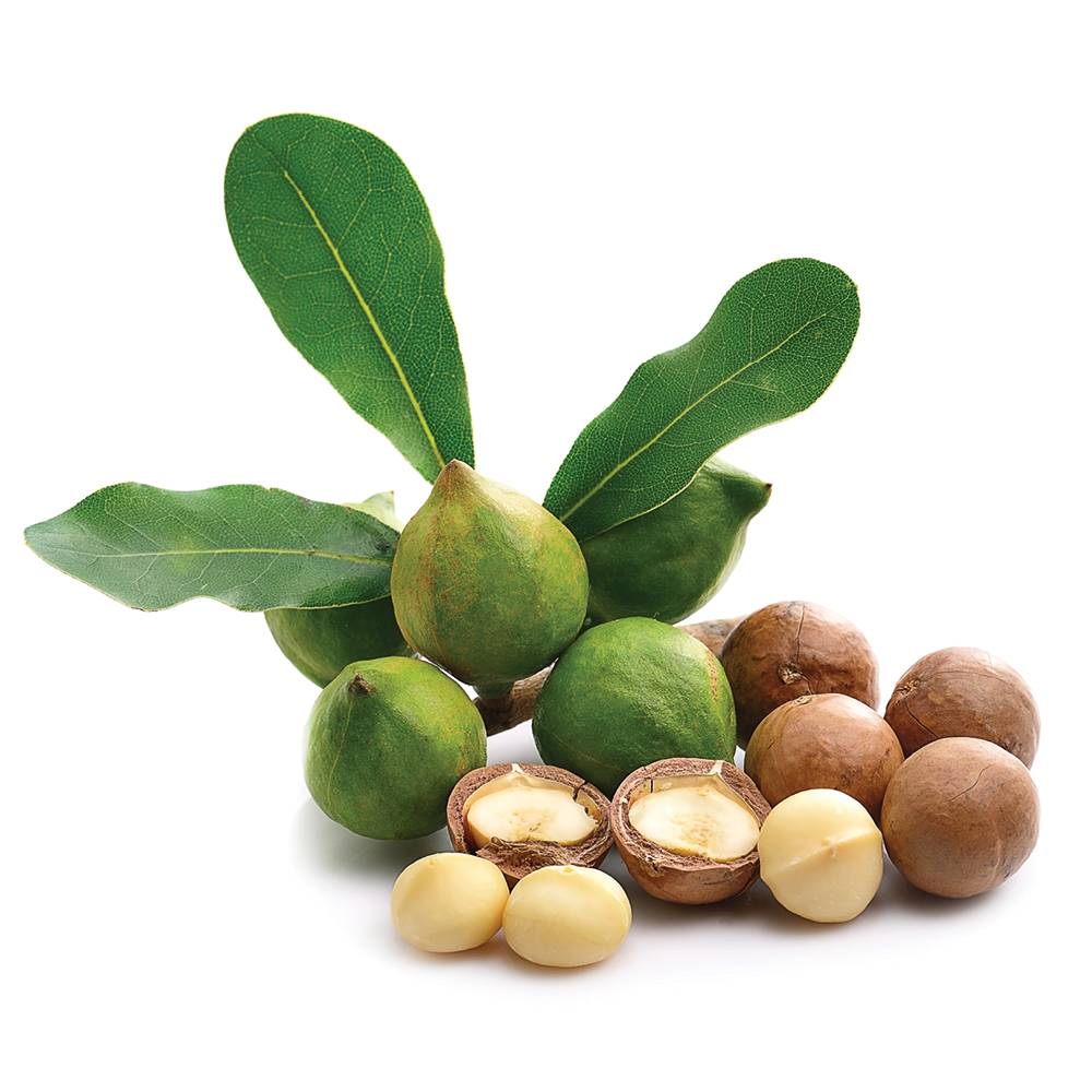 Чем полезны орехи макадамия для женщин?