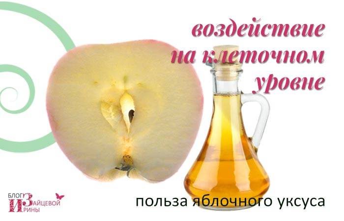 Польза и вред натурального яблочного уксуса
