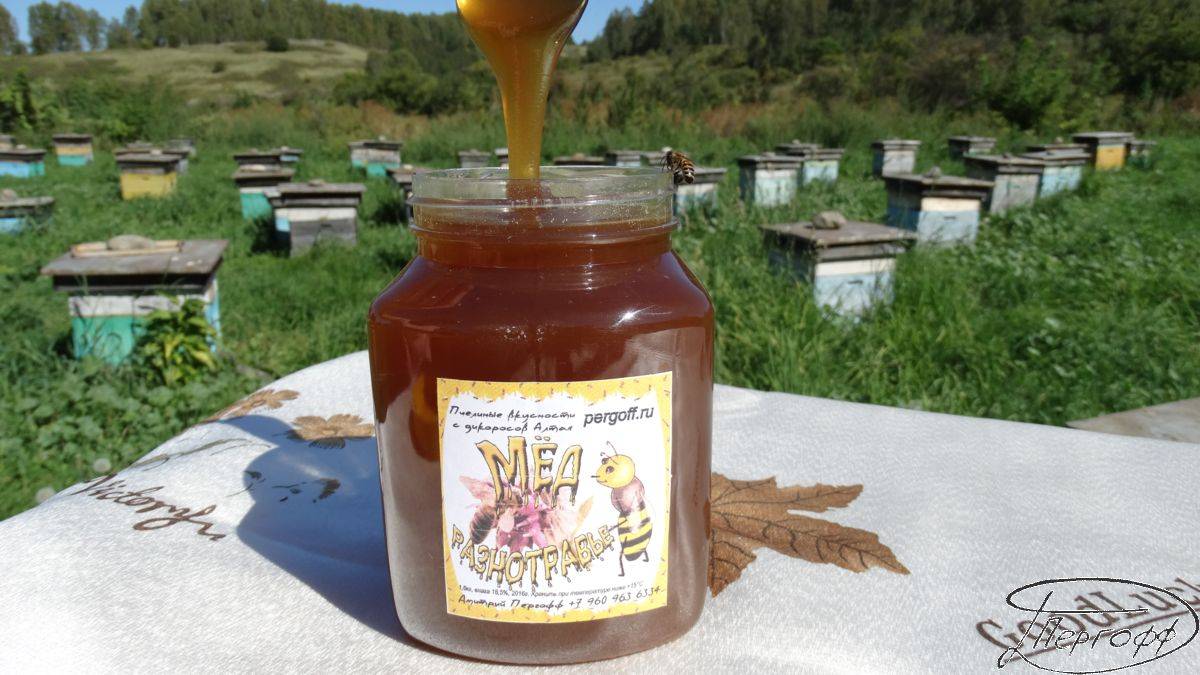 Донниковый мед — полезные свойства и противопоказания