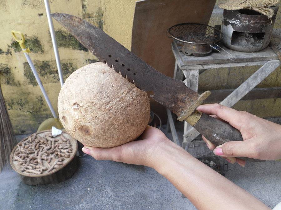 Как расколоть кокос. какие бывают способы?