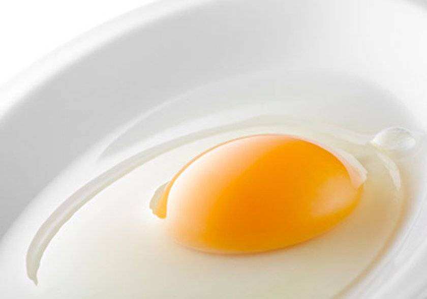 Яичный белок — польза и вред для здоровья