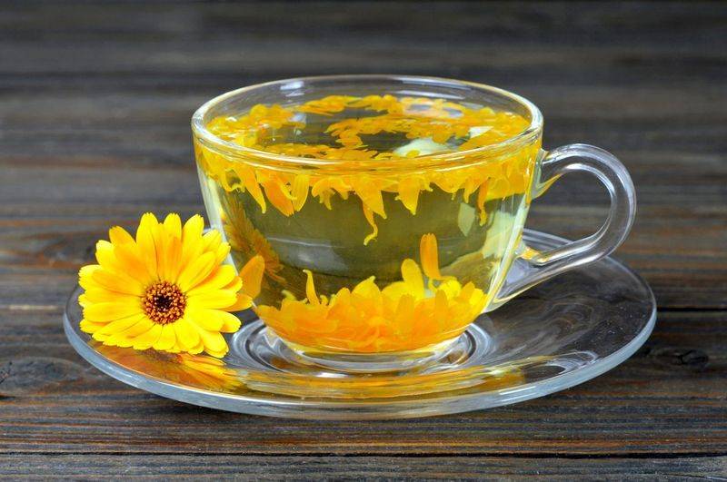 Чай из календулы: 8 рецептов и капля вреда