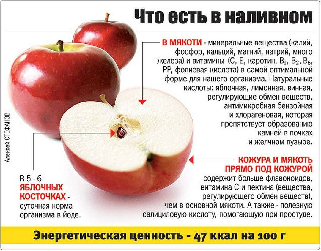 Яблоки: польза и вред. лечение яблоками
