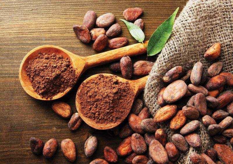 Польза и вред какао бобов в урбече, шоколаде, для мозга