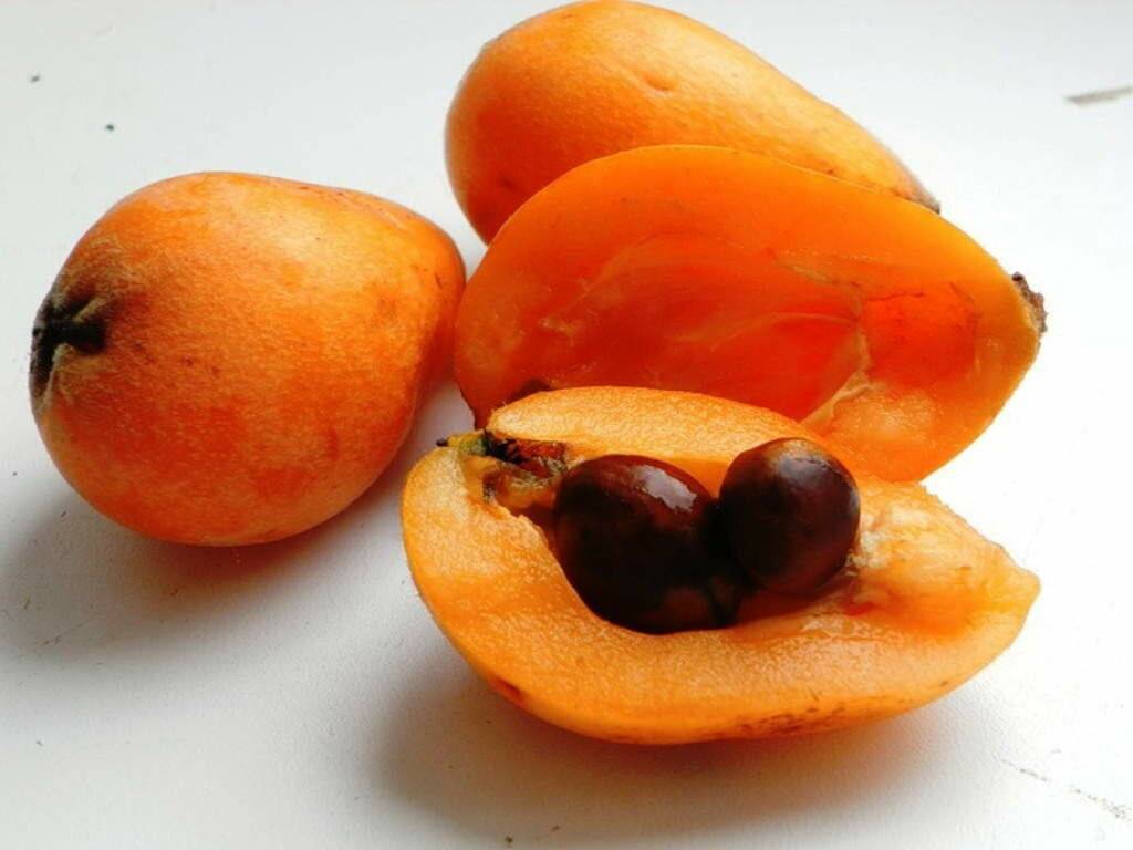 Джамболан – тропическое лекарственное дерево с черными плодами