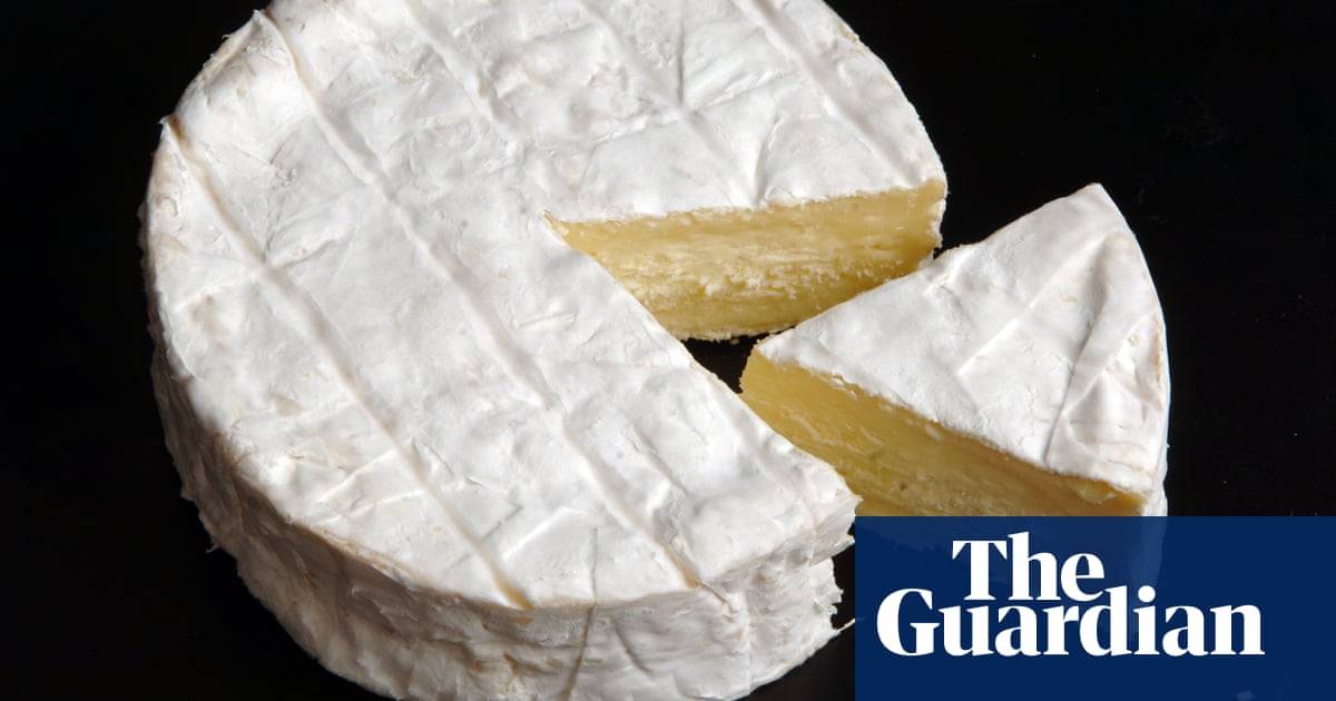 Плавленый сыр: польза и вред продукта от разных производителей