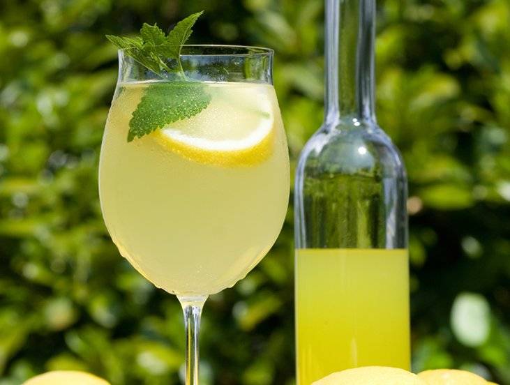 Как правильно пить лимончелло: чем запивать и закусывать