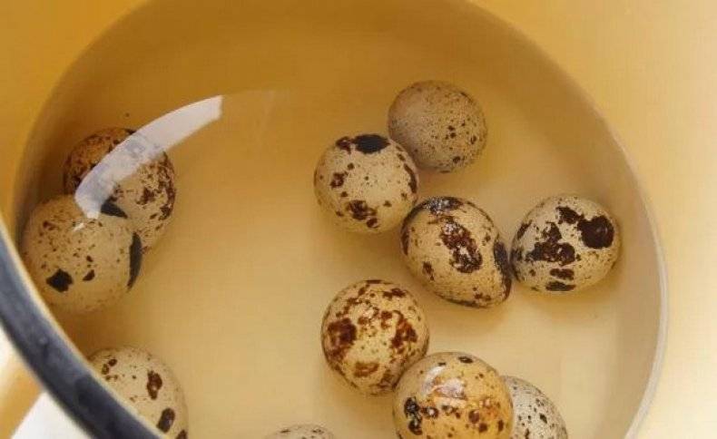 Можно ли пить перепелиные яйца сырыми