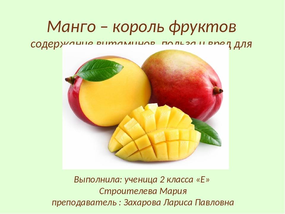 Фрукт манго: польза и вред для организма