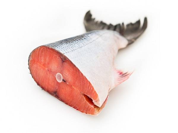 Кижуч в духовке калорийность на 100. рыба кижуч - польза и вред. что лучше - кета или кижуч