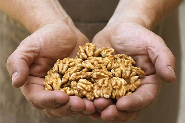 Какие орехи полезны для мужчин: для потенции и не только