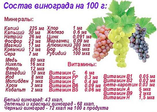 Чем полезен виноград для организма женщины