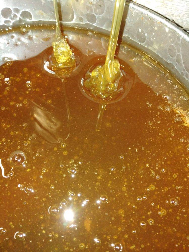 Как растопить мед