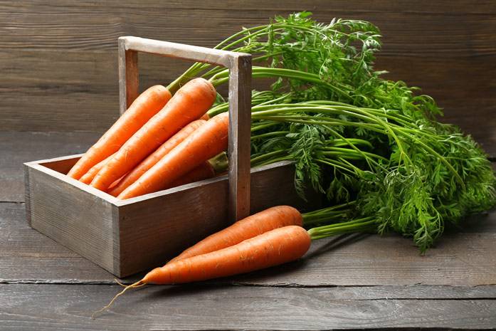 Ботва моркови – полезные свойства и противопоказания, как применять